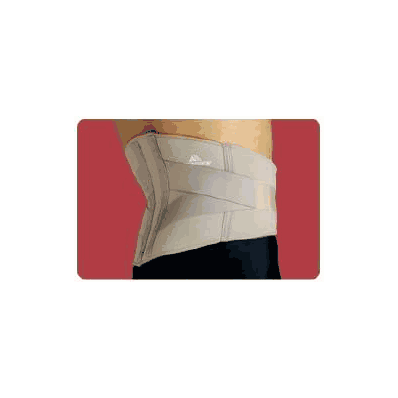 Lumbar Support, Large, 35-3/4" - 39-1/2"