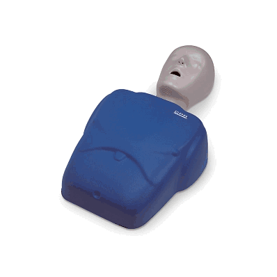 Manikin, Cpr Prompt, Adult - Medline