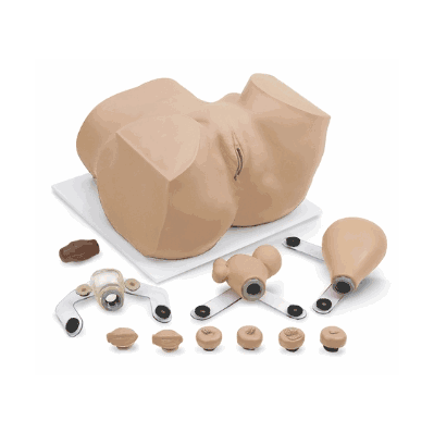 Manikin, EVA Gynecological Training