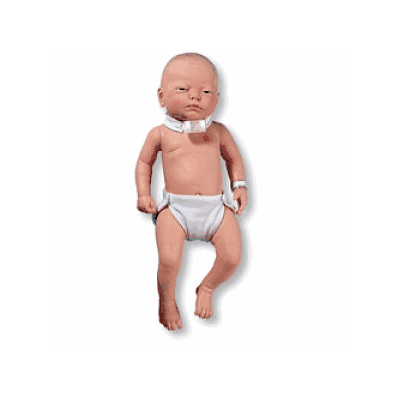 Manikin, Life / Form, Trach, Care, Edu - Medl