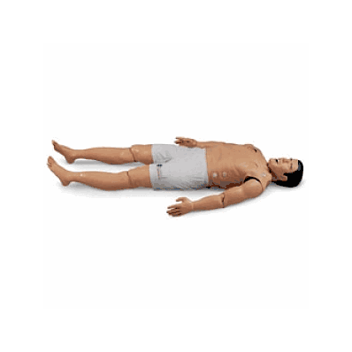 Manikin, Pda Stat - Medline