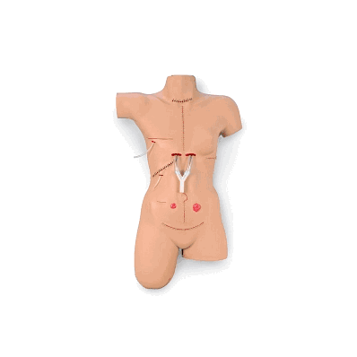 Manikin, Surgically Sally, Bndgng Simulato -