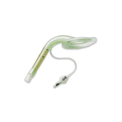 Mask, Laryngeal Auraonce Crvd Adlt Disp Sz6 (