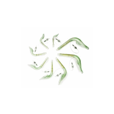 Mask, Laryngeal Sz5 - - Moore Medical