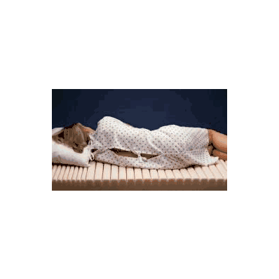 Mattress Overlay Geo-matt Segmented Foam 34