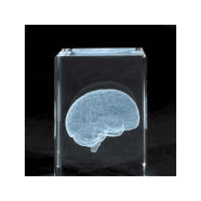 MEDart Glass Blocks Brain