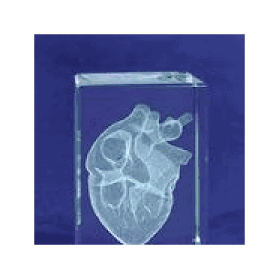 MEDart Glass Blocks Heart