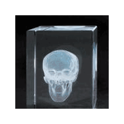 MEDArt Glass Blocks Skull
