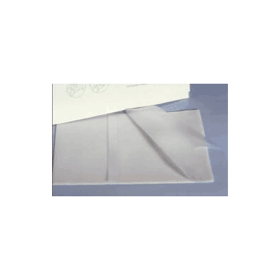 Mepilex Transfer Hydrophilic Polyurethane Fo