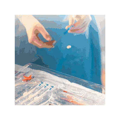 Mic-key Introducer Kits By Kimberly Clark - K