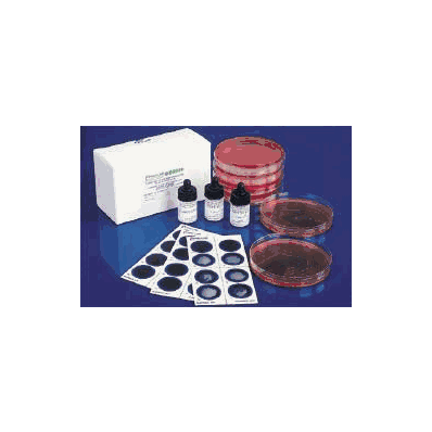 Microbiology Test Kit Prolex Latex Agglutina