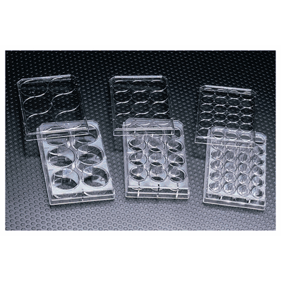 Microplate with Lid, 3.5 mL, 24-Well Imaging Cell Culture Flat Bottom