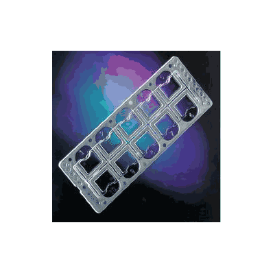 Microscope Slide Quick-read 10 Chamber - Sli