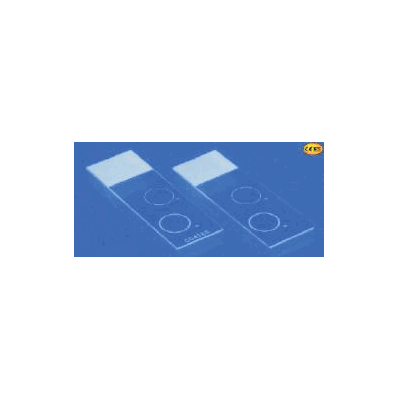 Microscope Slide Shandon Double Cytoslide 25
