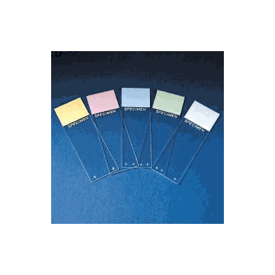 Microscope Slide Superfrost Colorfrost 25 X