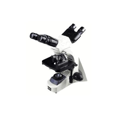 Microscope, Teaching 4x/10x/40x/100x Objectiv