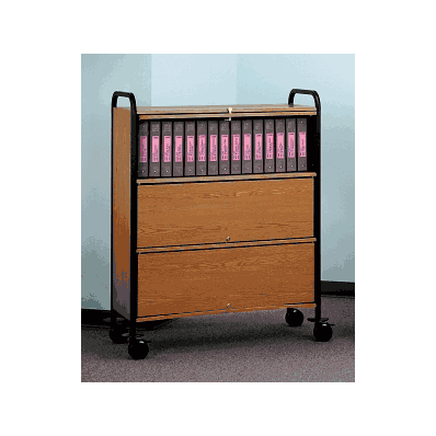 Mobile Top-opening Chart Racks With Privacy C