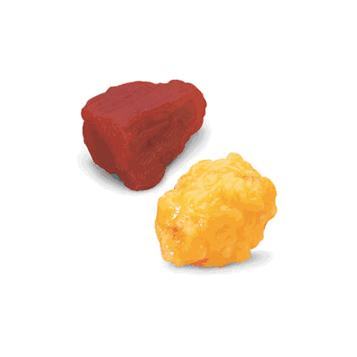 Model, 1lb Fat And 1lb Muscle Replica On Base