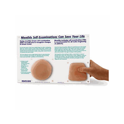 Model, Breast, Exam - Medline