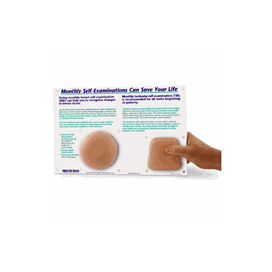 Model, Breast Self-exam (Bse) Testicular Self
