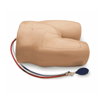 Model Femoral with DVT Option