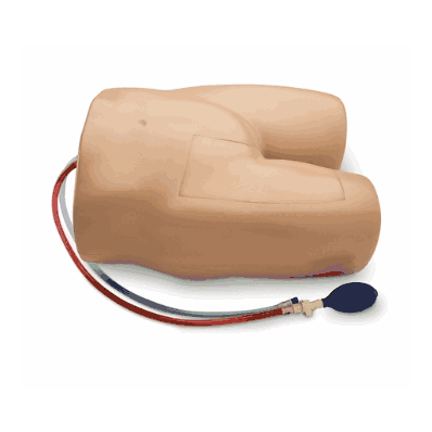 Model Femoral with Hand Pump