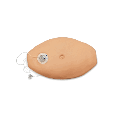 Model, Injection, Belly - Medline