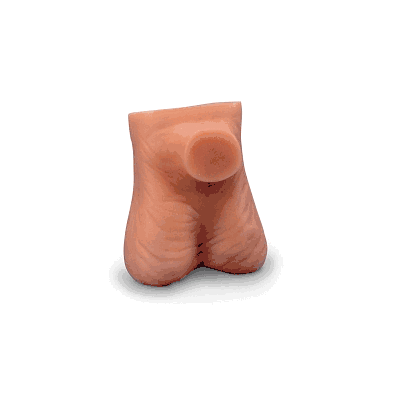 Model, Testicle, Life-size - Medline