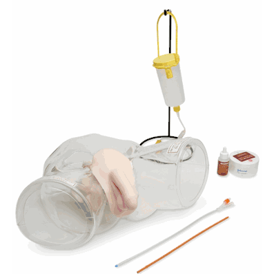 Transparent Male Catheter Model