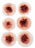 Moulage, Single Gunshot Exit Wound in silicone rubber, color: manikin skin, sold as 6/set by MST brand Nasco SB50193A<br><br><font color="red"><b>BACK TO THE PRODUCT TABLE, <a href="https://www.aaawholesalecompany.com/nasco-nursing---medical-simulation-wound-kit.html">CLICK HERE</a></b></font>