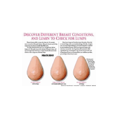 Multi Type Breast Model - Model, Breast Multi