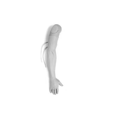 Multi-veinous Iv Training Arm Male - Training