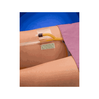 Nasogastric Tube Holder, Large/Adult for Na