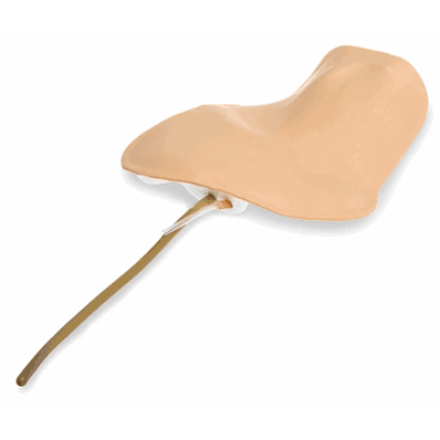 Pad Neck Replacement