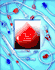 Nipro #BL+A217Y/V806 NiproSet Blood Tubing, 8 mm Post Pump, for B Braun, sold as 24/Case by Nipro Medical <br> To see more Nipro Blood Tubing, <a href="http://site.aaawholesalecompany.com/Files/Nipro_Blood_Tubing.pdf">CLICK HERE</a><br><br><font color="red"><b>BACK TO THE PRODUCT TABLE, <a href="https://www.aaawholesalecompany.com/i-v--therapy-blood-tubing-niproset-blood-tubing-by-nipro-medical.html">CLICK HERE</a></b></font>