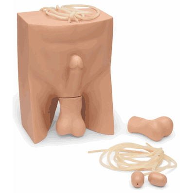 Vasectomy-No Scalpel Md Lt