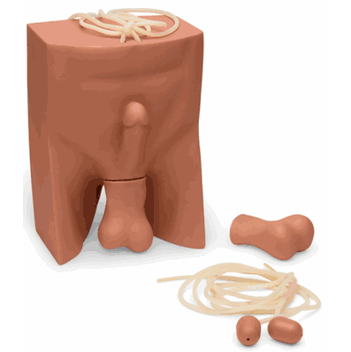 Vasectomy-No Scalpel Medum