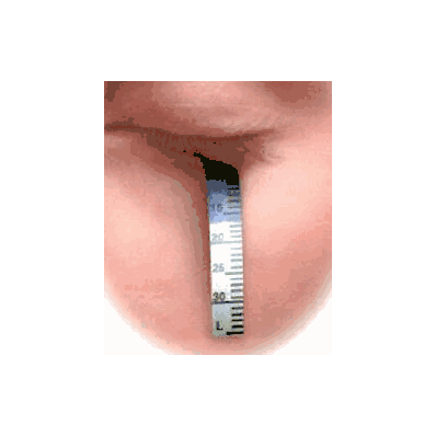 Eye Test Strip Schirmer 250 Per Box - Schirme