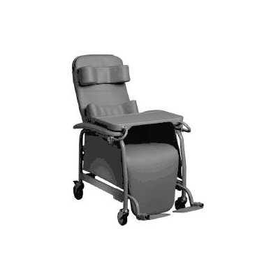 Ortho Biotic Recliner Preferred Care Swivel
