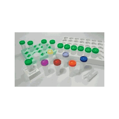 Pap-fix Plus Pap Jars By Caardinal Health -