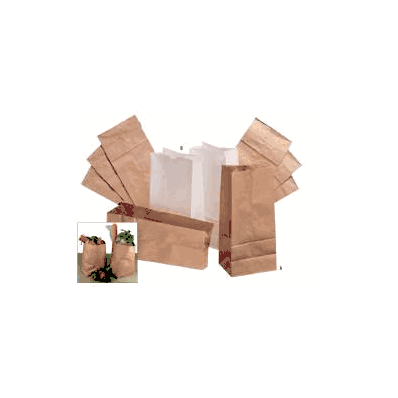 Paper Bag, 4-3/16" X 6-5/16" X 13-3/8", 10 lbs, #10