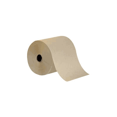 Paper Towel Envision Hardwound Roll 7.87 Inc