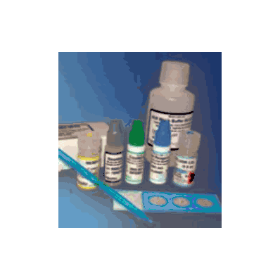 Parasitology Test Kit Merifluor Direct Immun