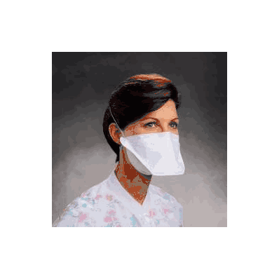 Particulate Respirator Mask N95 Pouch Regular