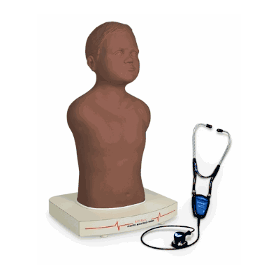 Trainer Pat Wifi Sim Dark