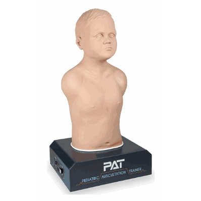 Pediatric Auscultation Trainer, 29" x 17" x 17", Light