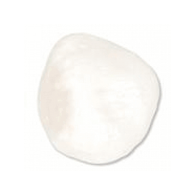 Patella, Left