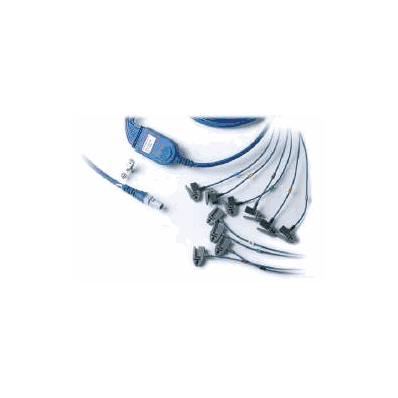 Patient Cable 43 Inch, 10 Lead - Cable, Patie
