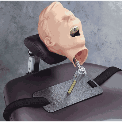 Pedo Dental Manikin