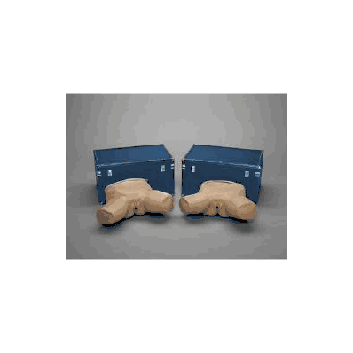 Pelvic Examination Simulator Set Life/form -